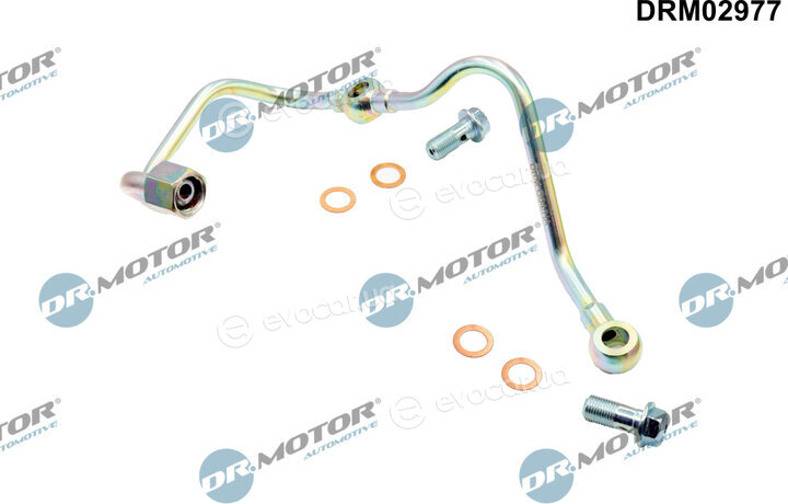 Dr. Motor DRM02977