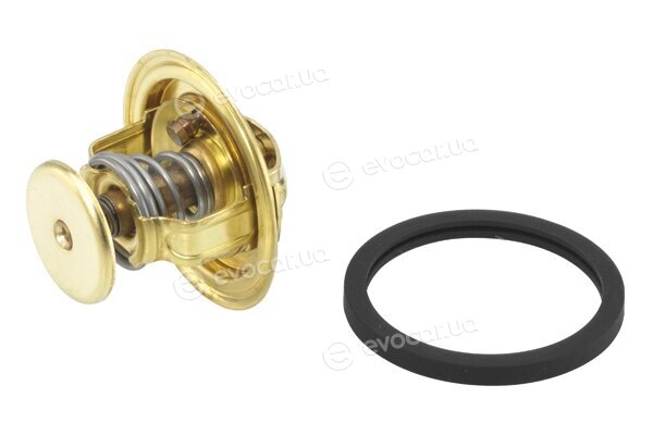 Wahler / BorgWarner 4022.82D
