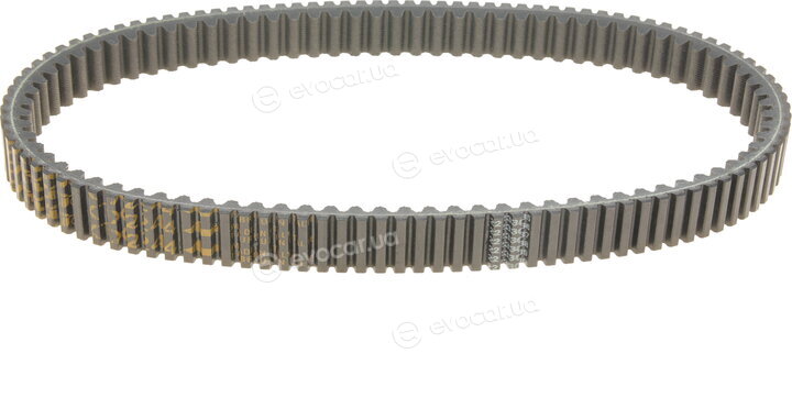 Dayco XTX2244