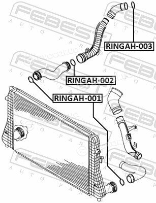 Febest RINGAH-003