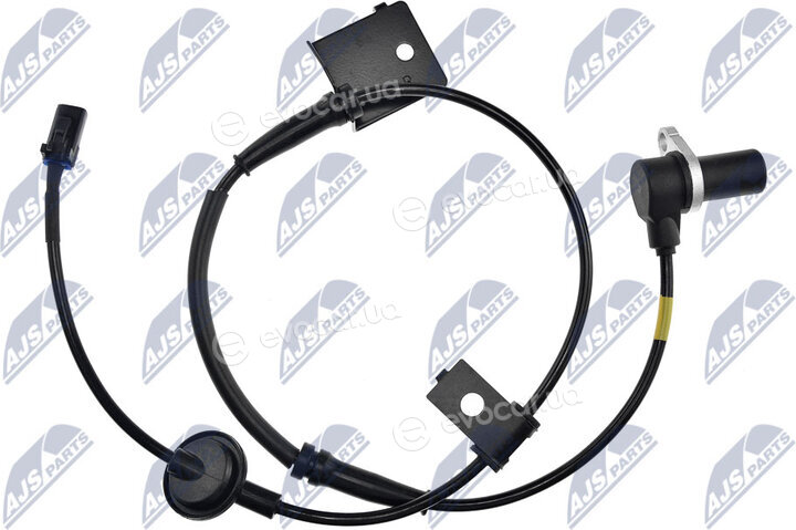 NTY HCA-HY-516