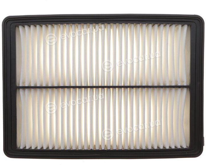 Solgy 103179