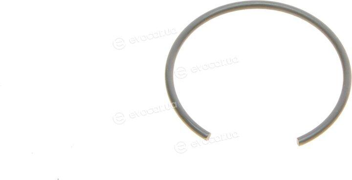 Mahle 021 PI 00124 000