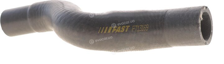 Fast FT13169