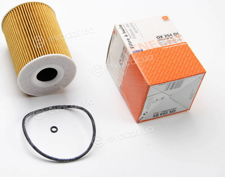 Mahle OX 254D1