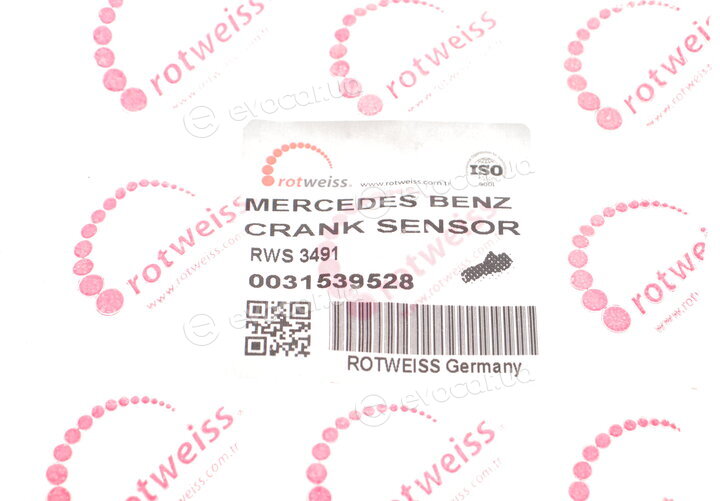 Rotweiss RWS3491