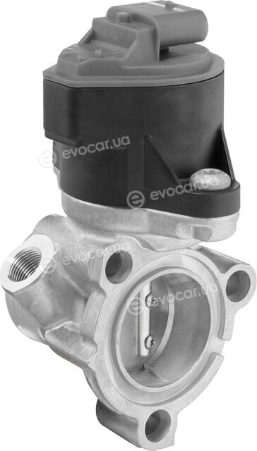 Wahler / BorgWarner 710795D