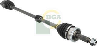 BGA DS2745R