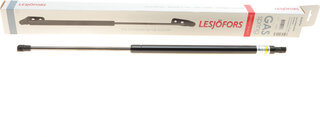 Lesjofors 8166754