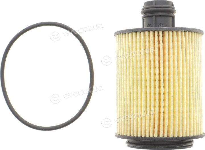 Mahle OX 553D