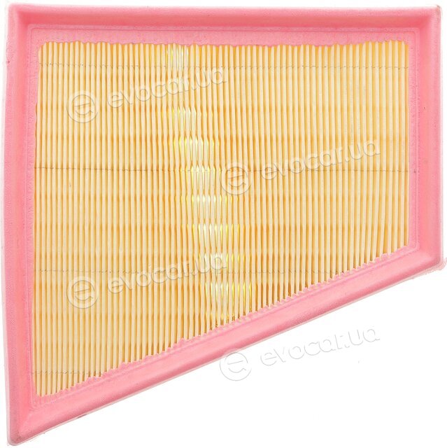 Solgy 103142