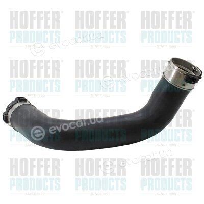 Hoffer 961225