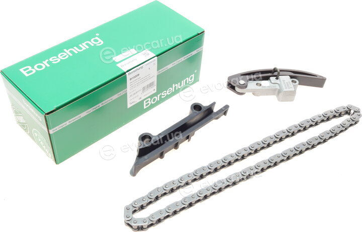 Borsehung B10209