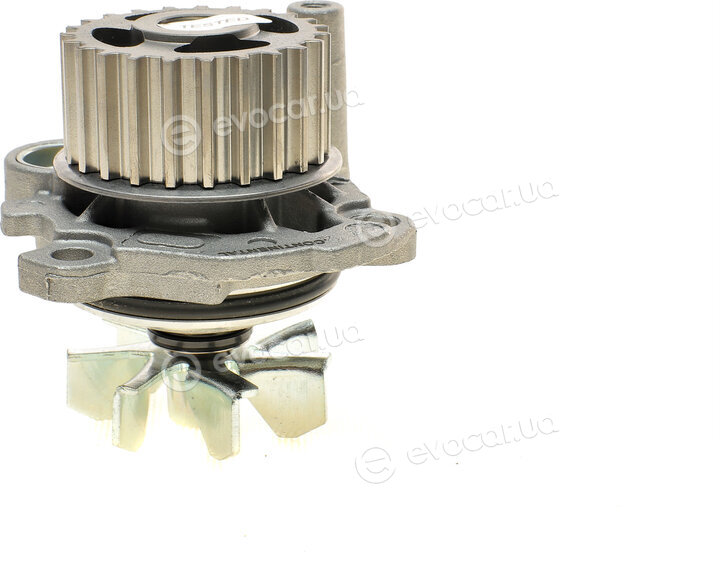 Continental CT909WP1