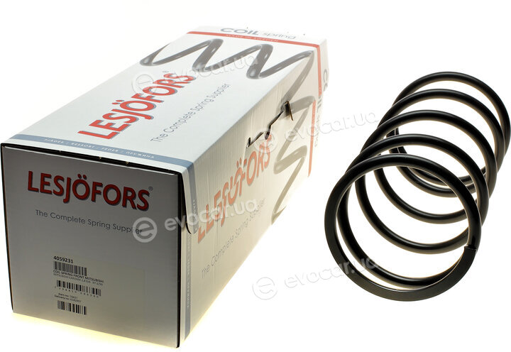 Lesjofors 4059231