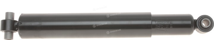 Solgy 211020