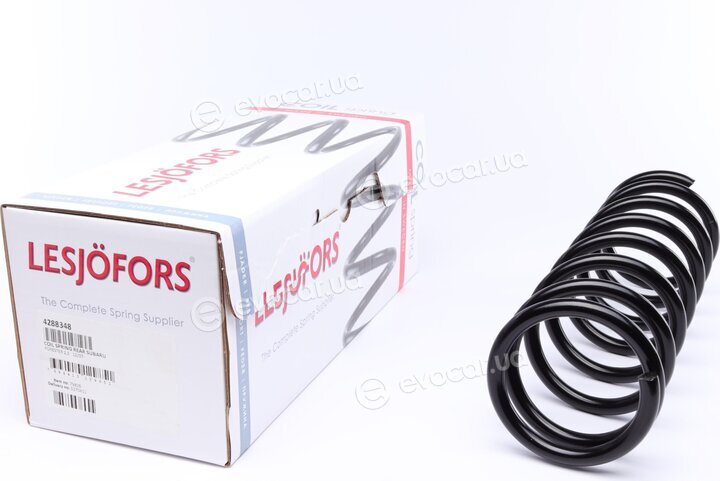 Lesjofors 4288348