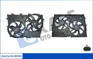 Kale 387295