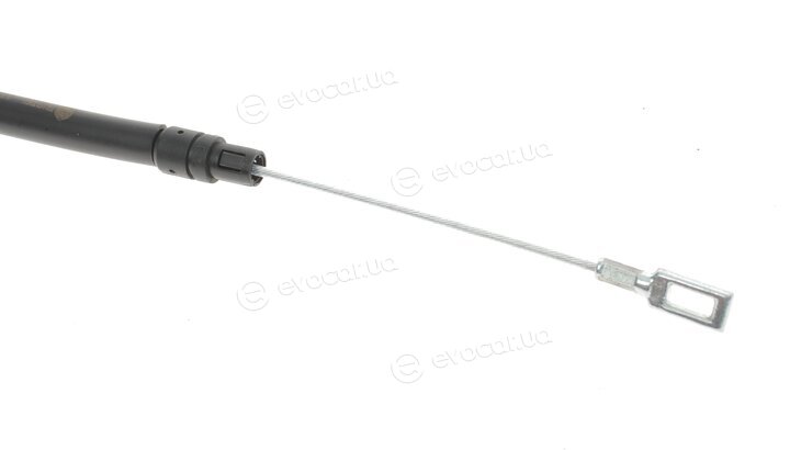 DP BC 24005 TUR