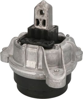 Reinhoch RH11-3079
