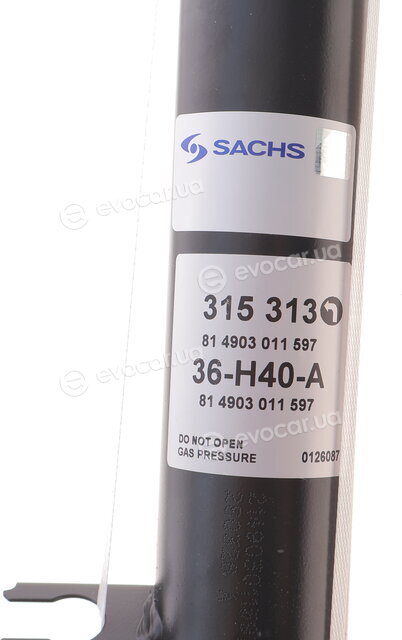 Sachs 315 313