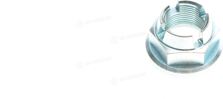 Solgy 216183