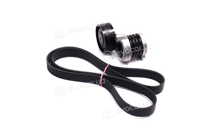 Gates K066PK1195