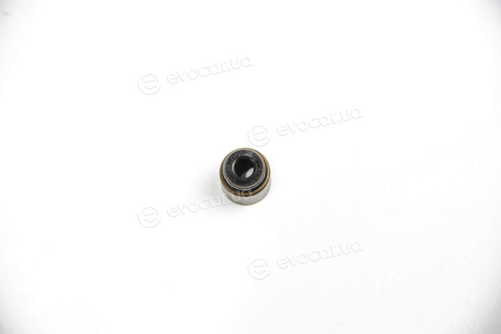 Elring 843.040