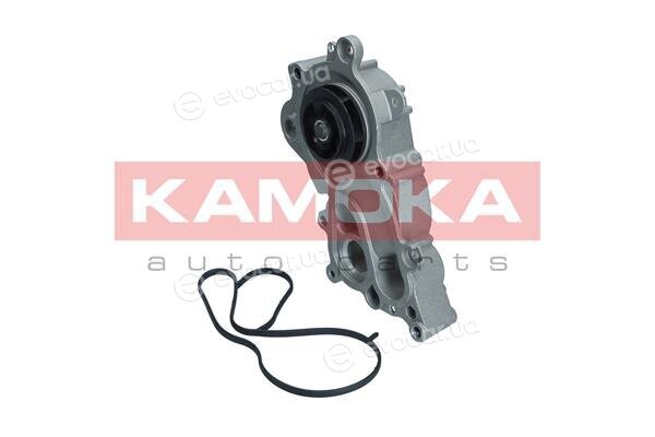 Kamoka T0286