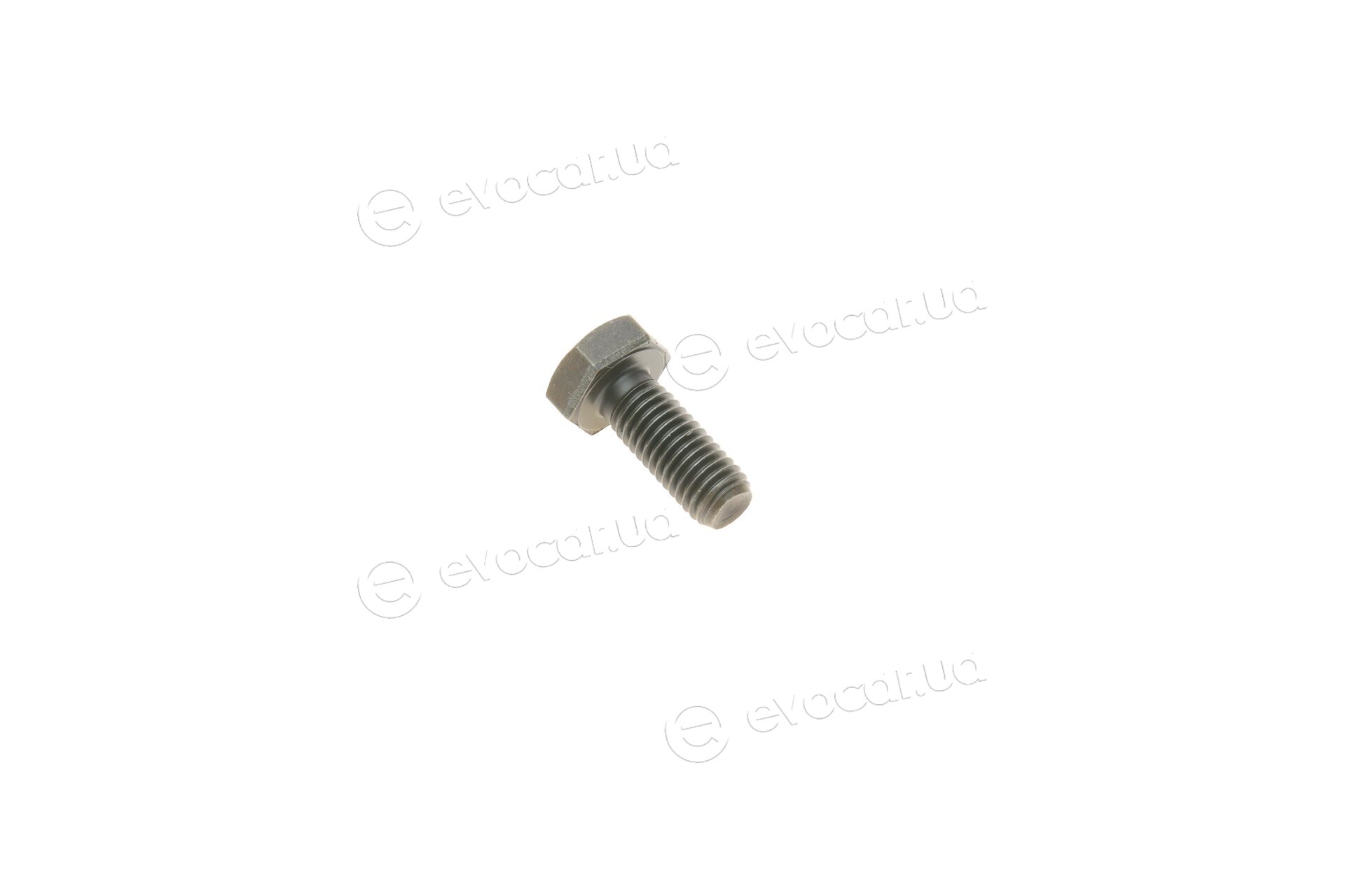 Gates K025344XS