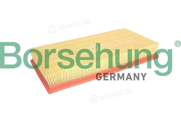 Borsehung B12366