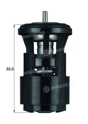 Mahle TX 41 80D