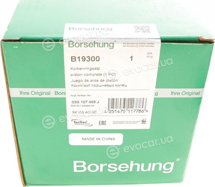 Borsehung B19300