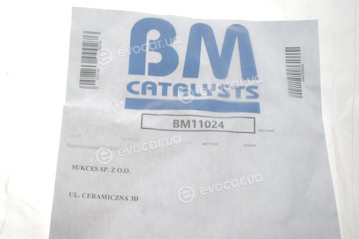 BM Catalysts BM11024