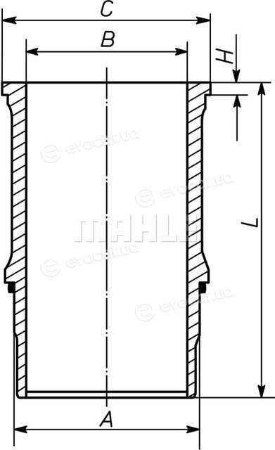 Mahle 227 WN 65 01