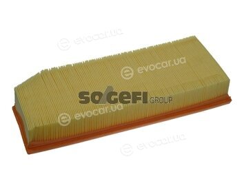Coopers Fiaam PA7339