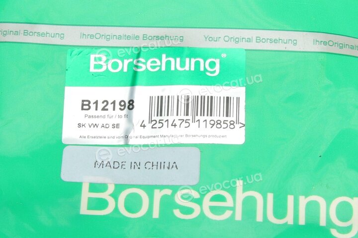 Borsehung B12198