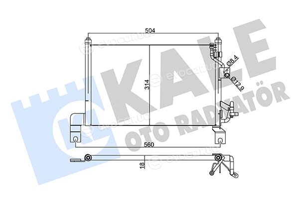 Kale 345385