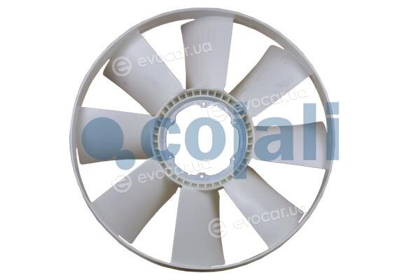 Cojali 7047122