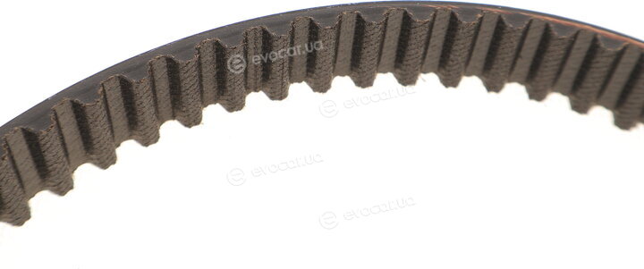 Gates K015565XS