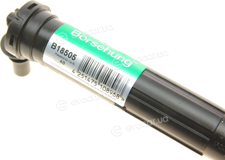 Borsehung B18505