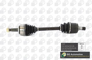 BGA DS2519L