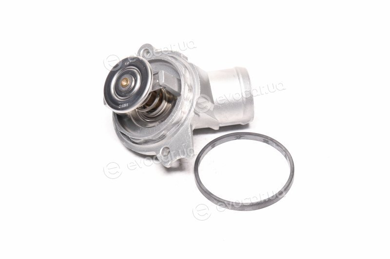 Wahler / BorgWarner 4281.87D