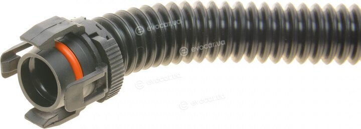 Bogap B1210171