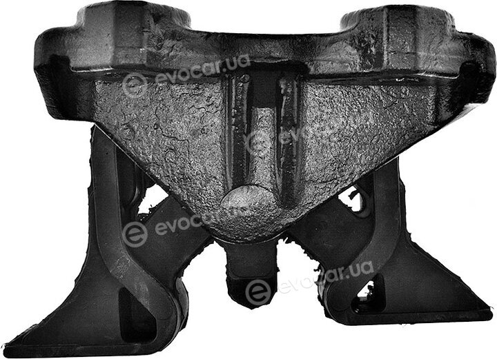 NTY ZPS-PL-019