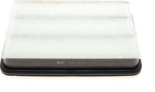 Hengst E1242L