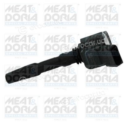 Meat & Doria 10602