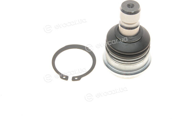 SKF VKDS 815005