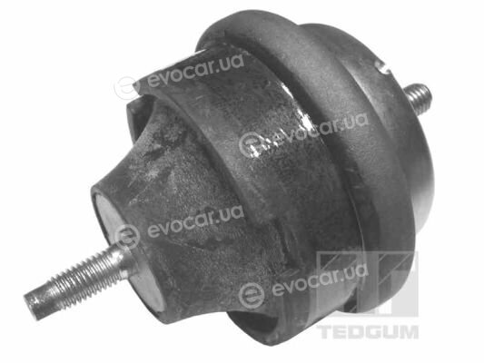 Tedgum 00145015
