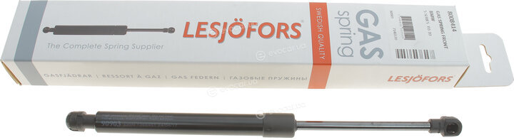 Lesjofors 8008414
